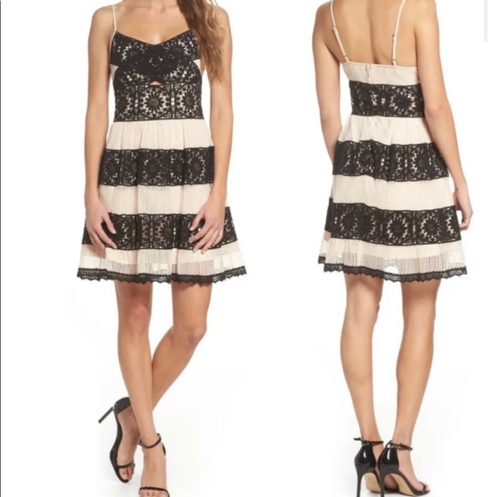NWT Foxiedox Ophelia Lace Fit & Flare Dress